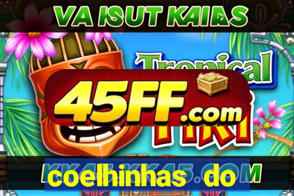 coelhinhas do brasil site